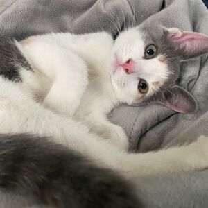 Meet your Posher, Jamie